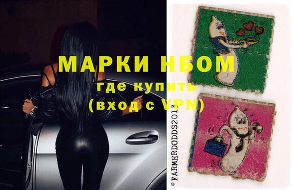 стаф Абаза